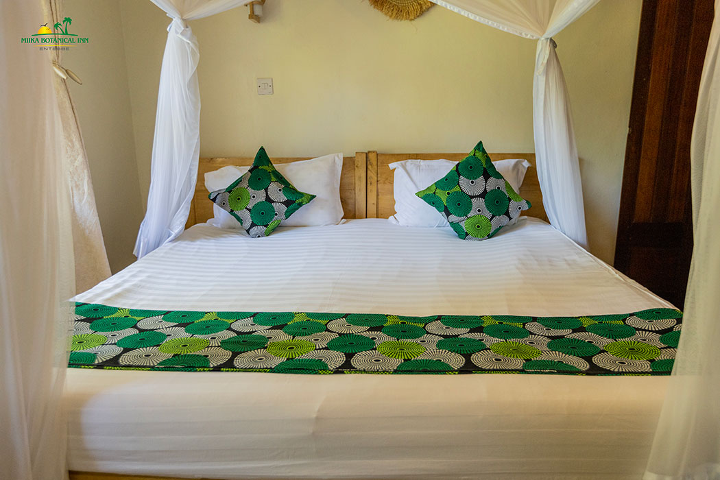 Single Deluxe Room